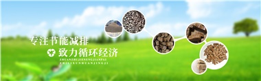 倪維斗院士：通過技術(shù)創(chuàng)新，大力發(fā)展超級(jí)能源生物質(zhì)燃料